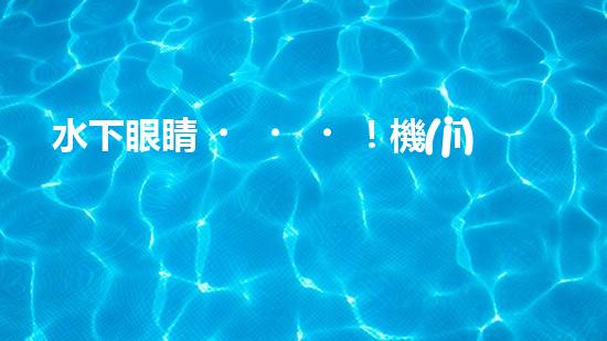 水下眼睛！機(jī)器人的新視角，探索深海奧秘，解鎖未知寶藏？